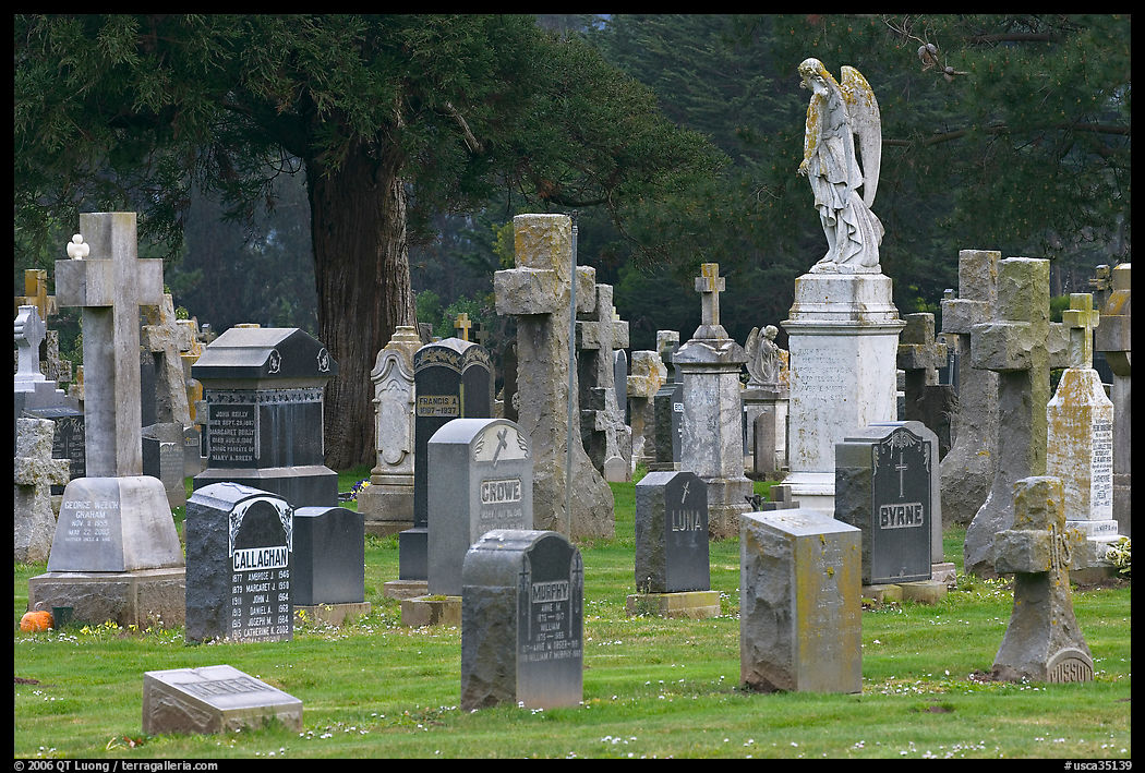 Variety of headstones, Colma. SF Bay area, California, USA