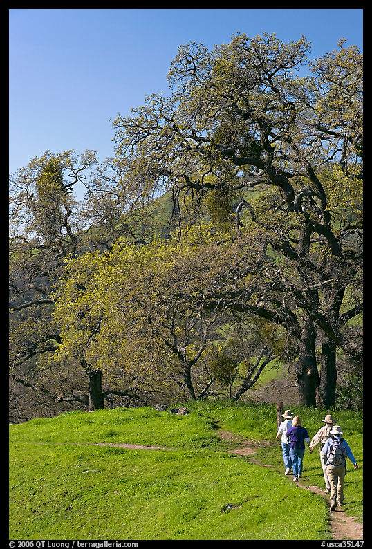 Group of hikers on faint trail, Sunol Regional Park. SF Bay area, California, USA