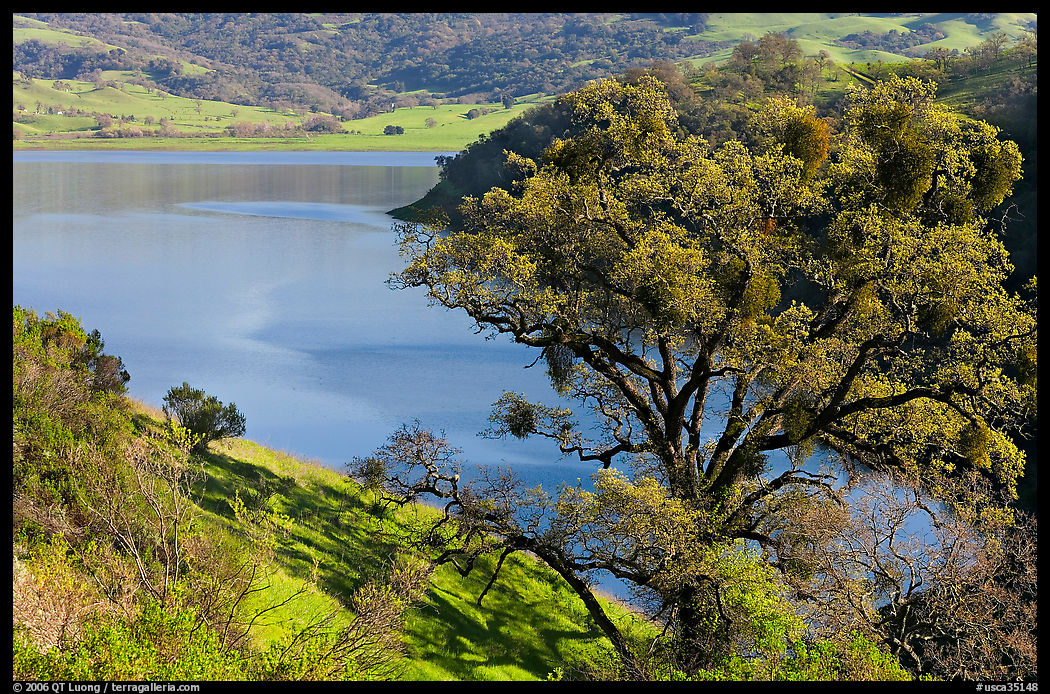 Calaveras Reservoir in spring. SF Bay area, California, USA