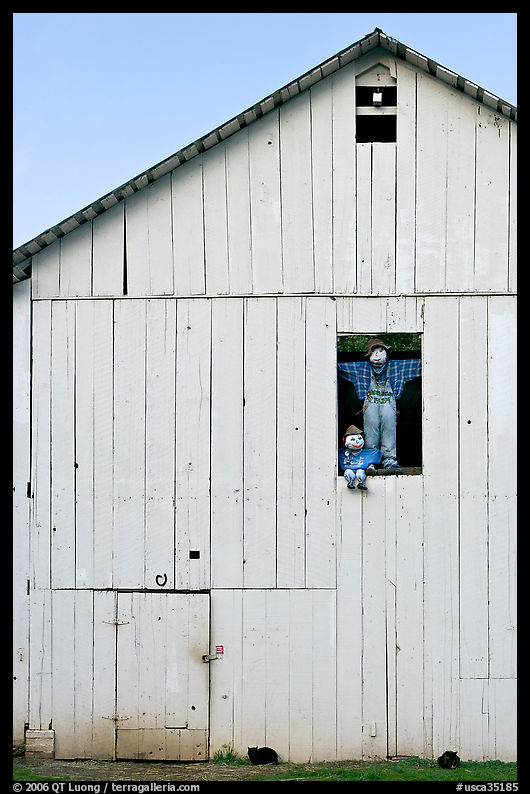 Figures in barn window and cats, Rancho San Antonio Open Space Preserve, Los Altos. SF Bay area, California, USA