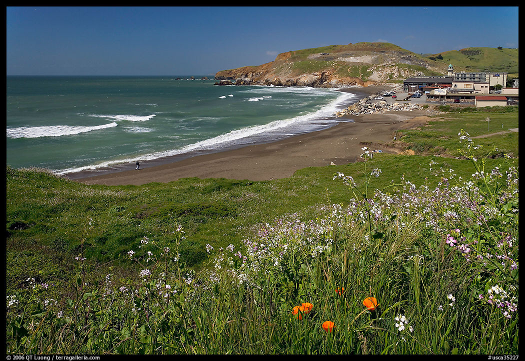 Rockaway Beach and wildflowers, Pacifica. San Mateo County, California, USA