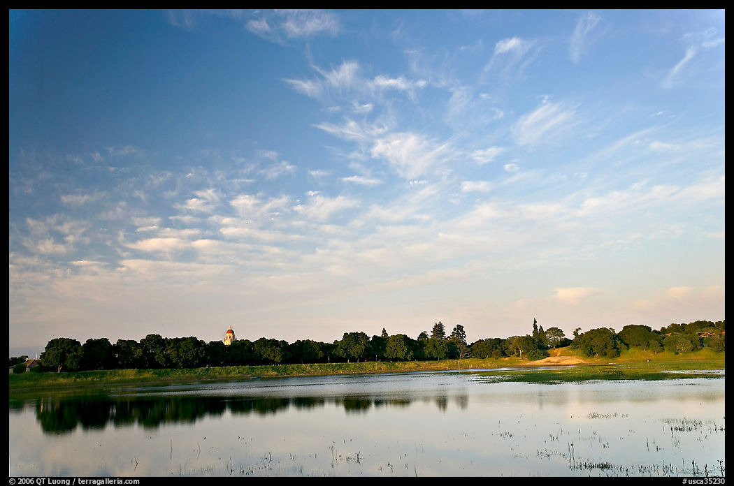 Lake Lagunata and Hoover tower behind row of trees, late afternoon. Stanford University, SF Bay area, California, USA