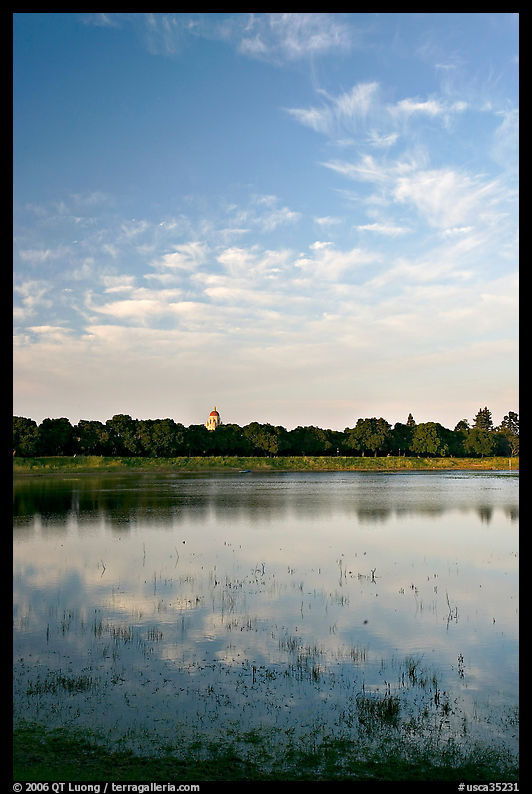 Lake Lagunata and Hoover tower in the spring. Stanford University, SF Bay area, California, USA
