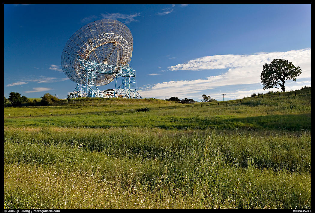 150 ft parabolic antenna known as the Dish, and tree. Stanford University, SF Bay area, California, USA