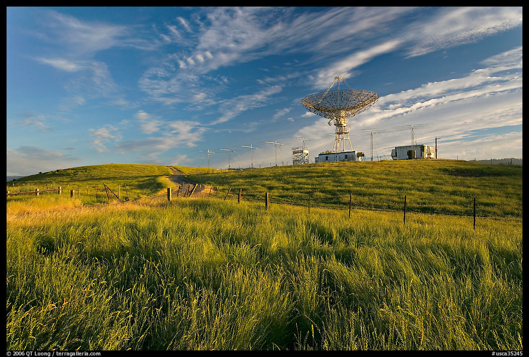 Grasses, fence, and parabolic antenna. Stanford University, SF Bay area, California, USA