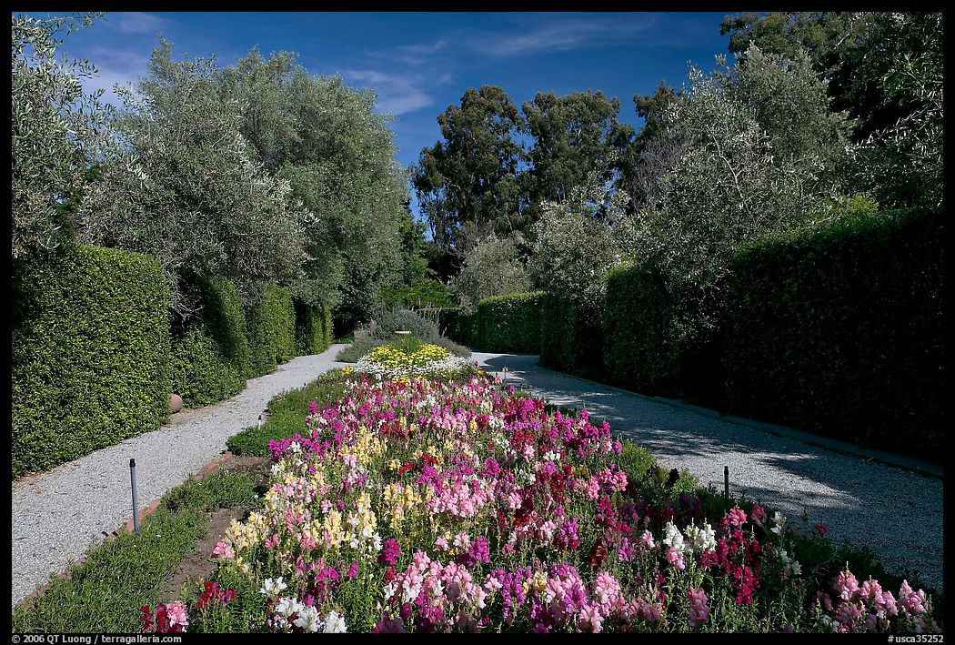 Flowers in alley, Allied Arts Guild. Menlo Park, SF Bay area, California, USA