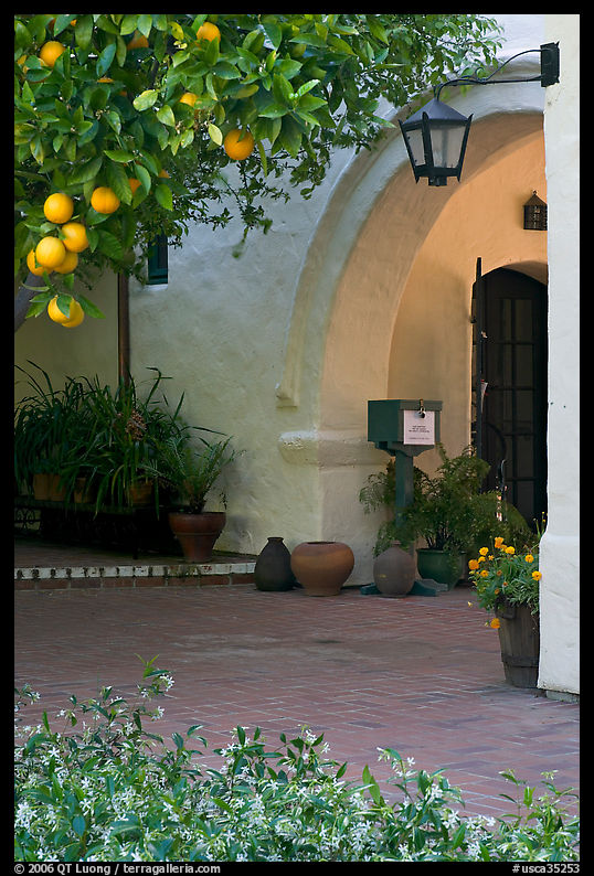 Orange tree and arch, Allied Arts Guild. Menlo Park, SF Bay area, California, USA