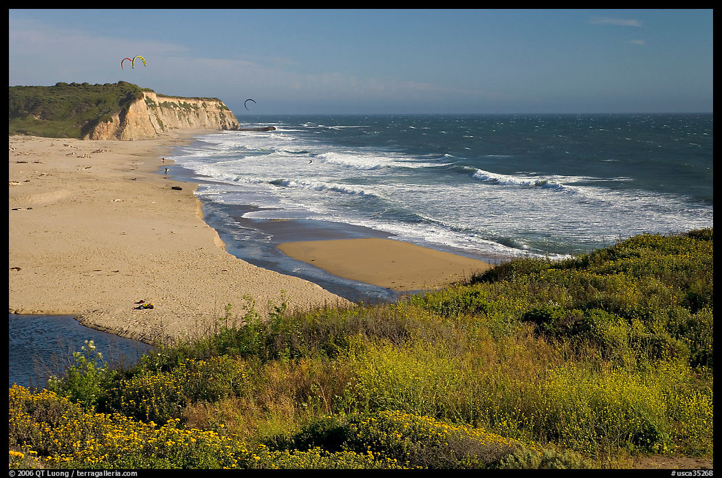 Beach with waves and kites, Scott Creek Beach. SF Bay area, California, USA