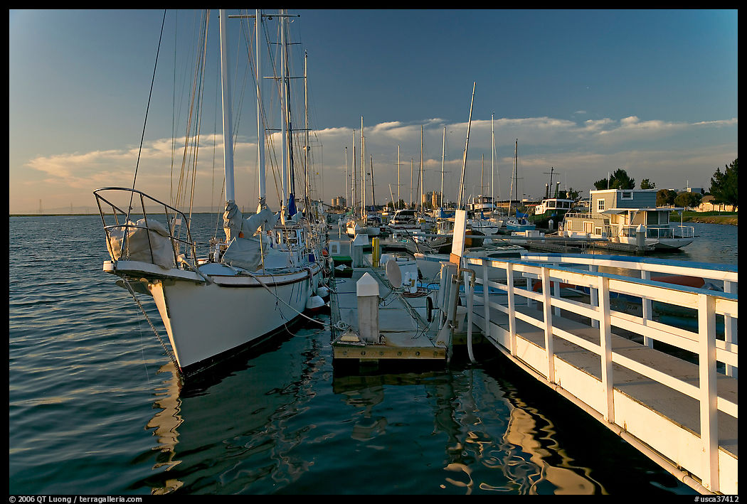 Yachts in Port of Redwood, late afternoon. Redwood City, SF Bay area, California, USA