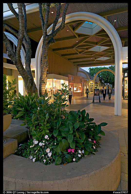 Flowers and arches, Stanford Shopping Mall, dusk. Stanford University, SF Bay area, California, USA