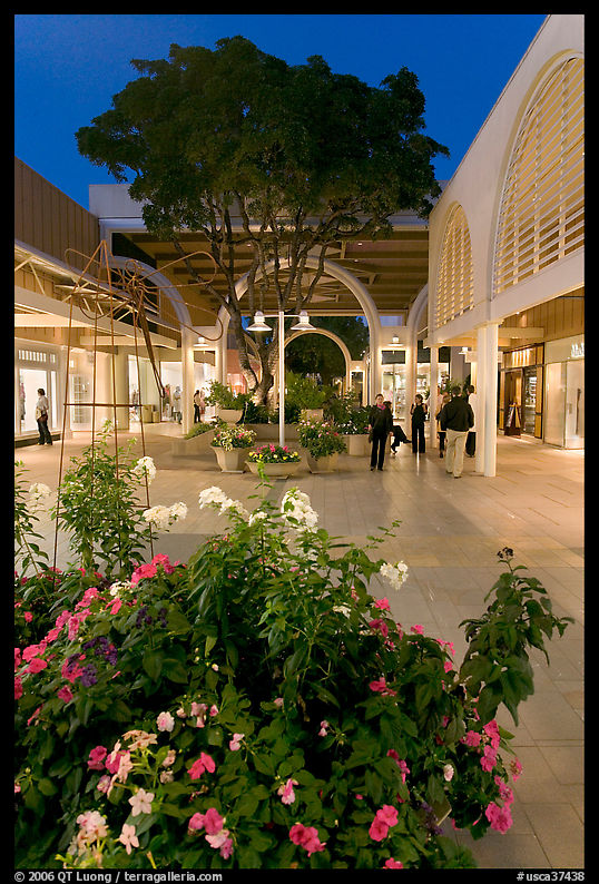 Vegetation and stores in main alley of Stanford Mall at night. Stanford University, SF Bay area, California, USA