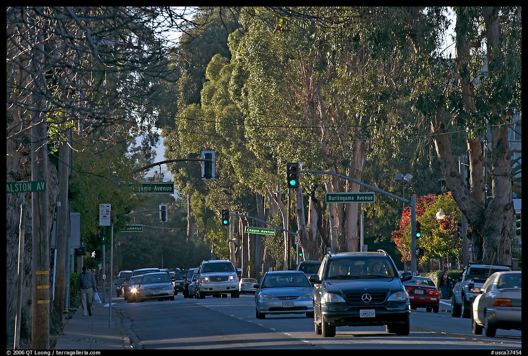 El Camino Real bordered by Eucalyptus trees. Burlingame, SF Bay area, California, USA