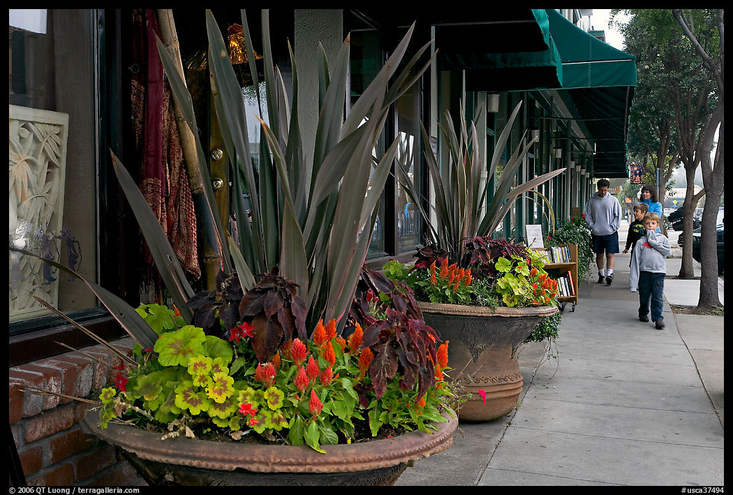 Flowers on Main Street, with family strolling by. Half Moon Bay, California, USA