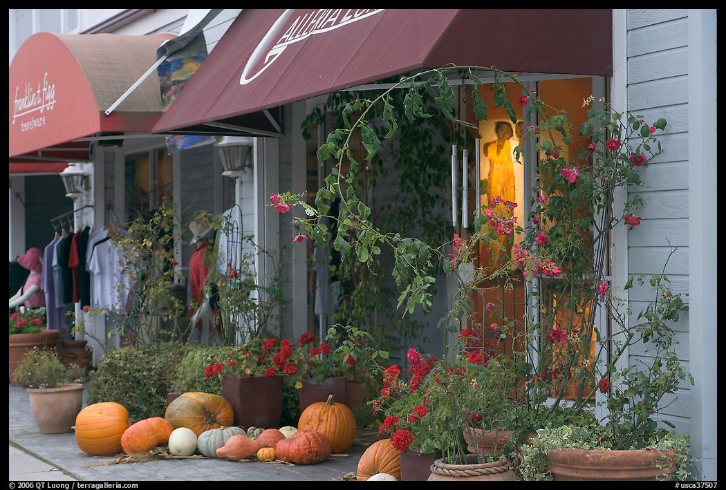 Storefronts decorated with large pumpkins. Half Moon Bay, California, USA