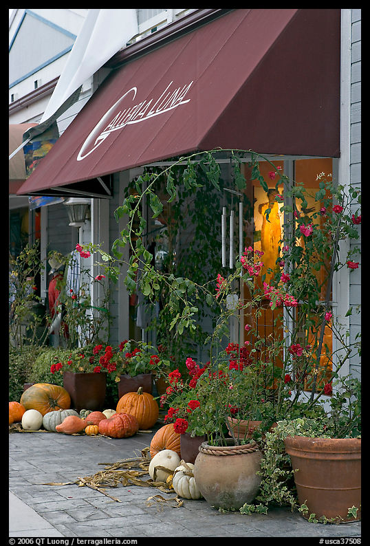 Art gallery decorated with large pumpkins. Half Moon Bay, California, USA