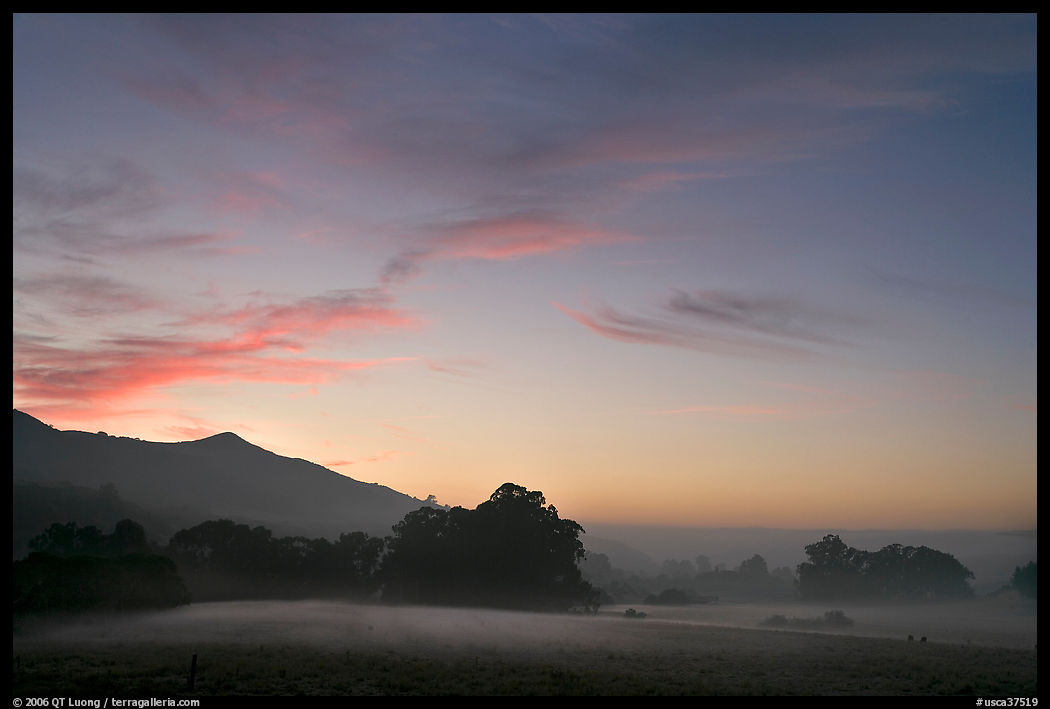Foggy pasture at sunset near La Honda Road. San Mateo County, California, USA