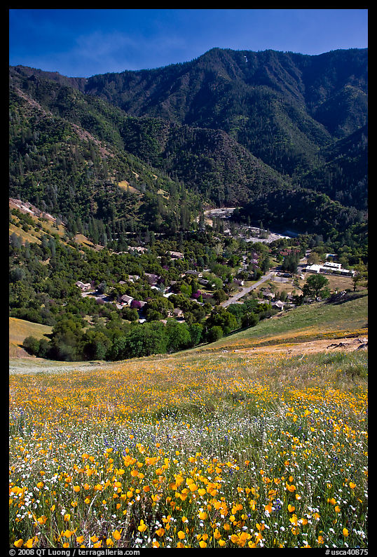 El Portal below fields of wildflowers. El Portal, California, USA