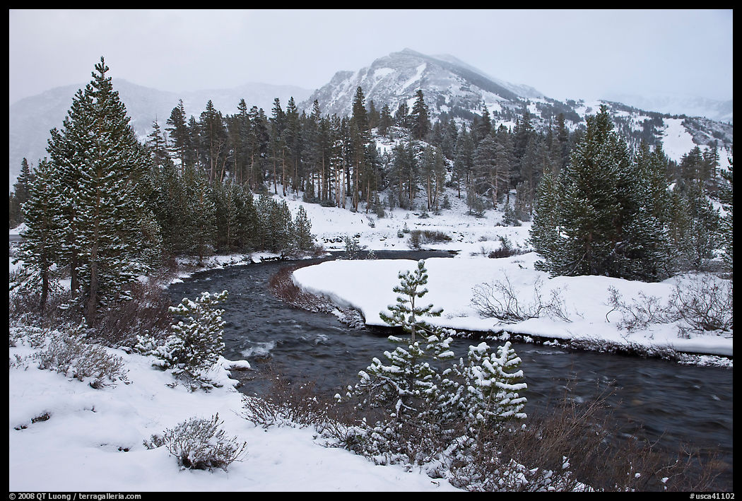 Creek, trees, and mountains with fresh snow. California, USA