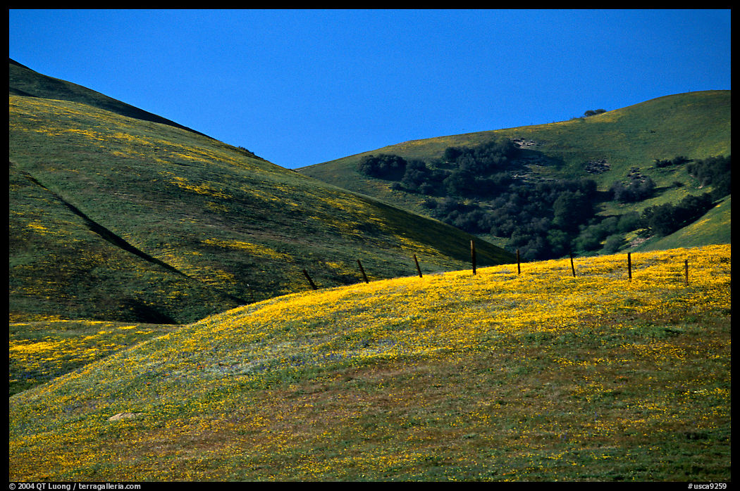 Gorman Hills. California, USA