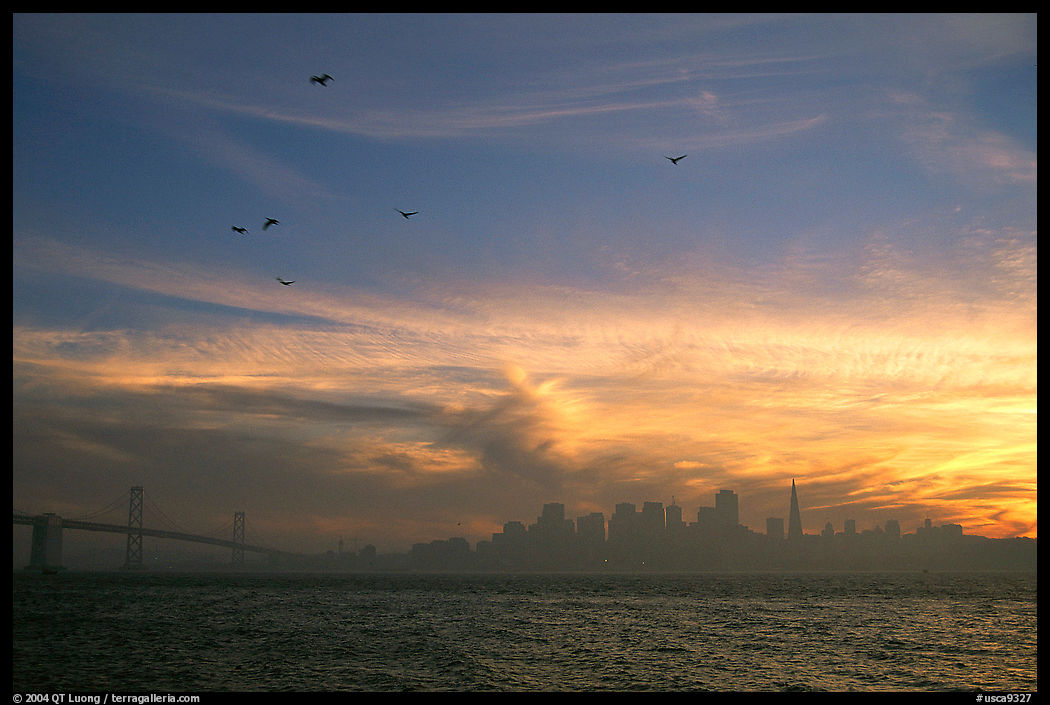 City skyline with sunset clouds and flying seabirds seen from Treasure Island. San Francisco, California, USA
