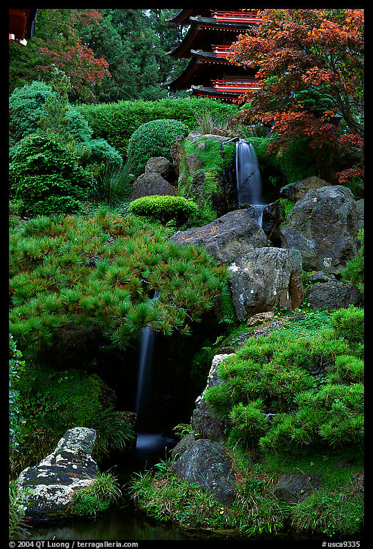 Cascade in the Japanese Garden, Golden Gate Park. San Francisco, California, USA