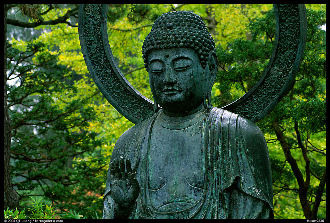 Buddha statue in the Japanese Garden, Golden Gate Park. San Francisco, California, USA