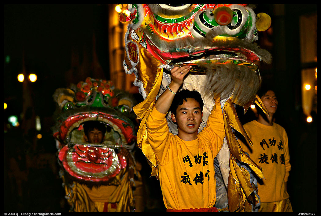 Lion dancers  during the Chinese New Year celebration. San Francisco, California, USA