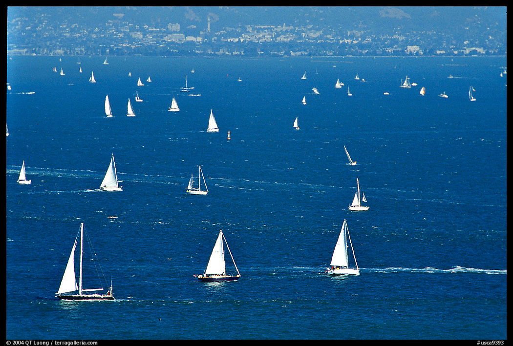 Sailboats in the Bay, seen from Marin. SF Bay area, California, USA