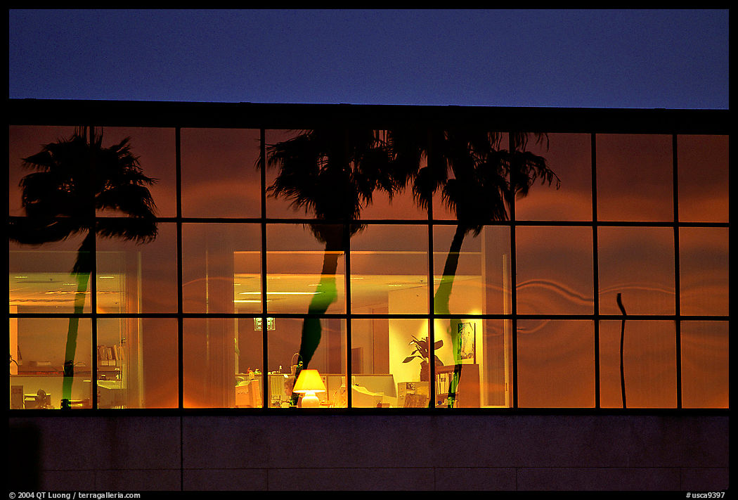 Palm Trees reflected in large bay windows at sunset. San Francisco, California, USA