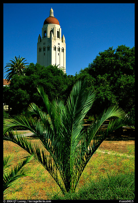 Hoover tower. Stanford University, SF Bay area, California, USA