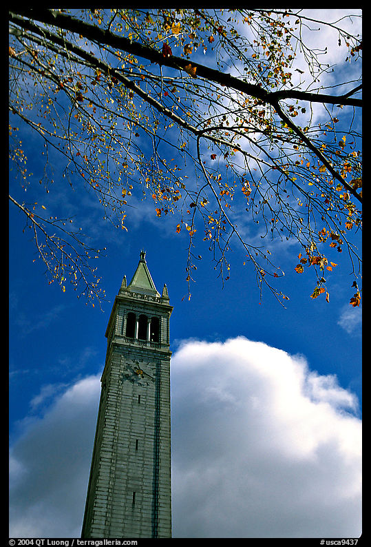 The Campanile, University of California at Berkeley campus. Berkeley, California, USA