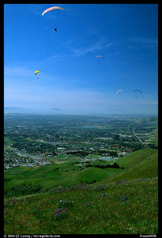 Paragliders,  Mission Peak Regional Park. SF Bay area, California, USA