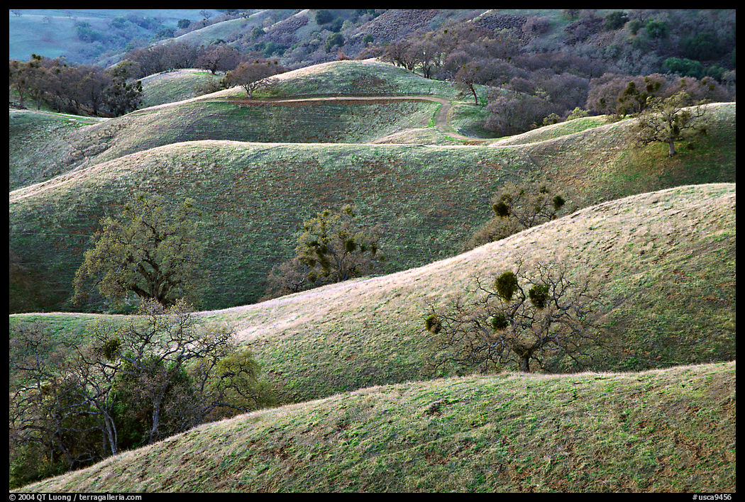 Ridges, Joseph Grant County Park. San Jose, California, USA