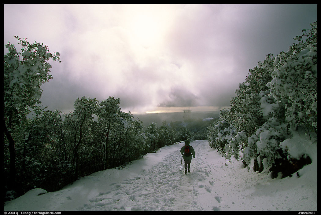 Summit trail after a snow-storm, Mt Diablo State Park. SF Bay area, California, USA