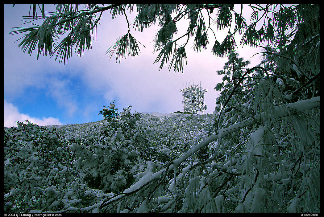 Radar station framed by snow-covered branches, Mt Diablo State Park. SF Bay area, California, USA