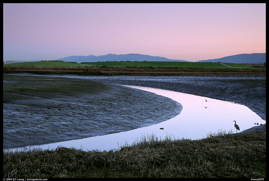 Wetlands at dusk, Palo Alto Baylands Preserve. Palo Alto, SF Bay area, California, USA