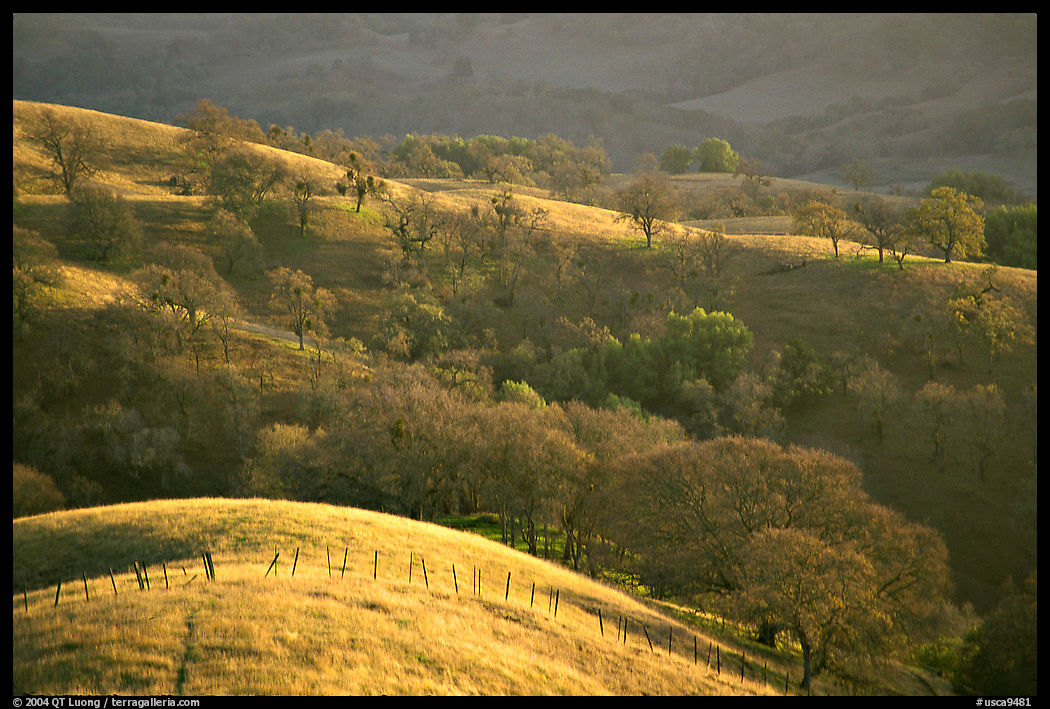 Hills, Joseph Grant County Park. San Jose, California, USA