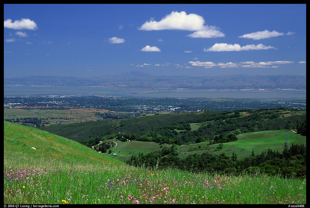 Meadows in the spring, with the Silicon Valley in the distance,  Russian Ridge Open Space Preserve. Palo Alto, SF Bay area, California, USA