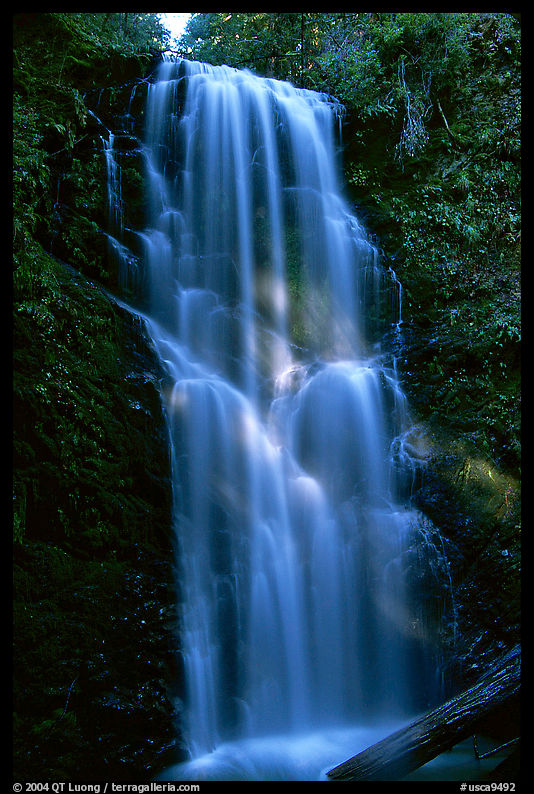 Berry Creek Falls. Big Basin Redwoods State Park, SF Bay area, California, USA
