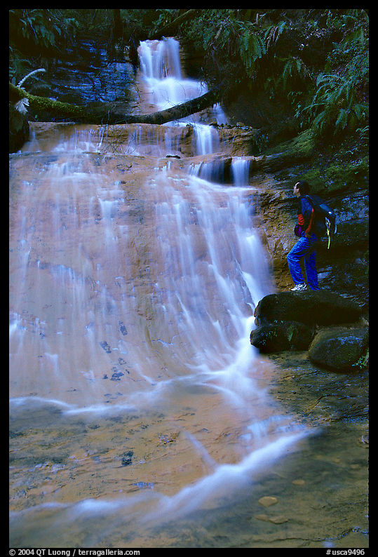 Golden cascade and hiker. Big Basin Redwoods State Park, SF Bay area, California, USA