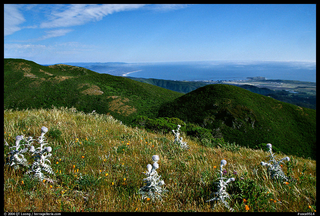 Montara Mountain and Pacific coast. San Mateo County, California, USA