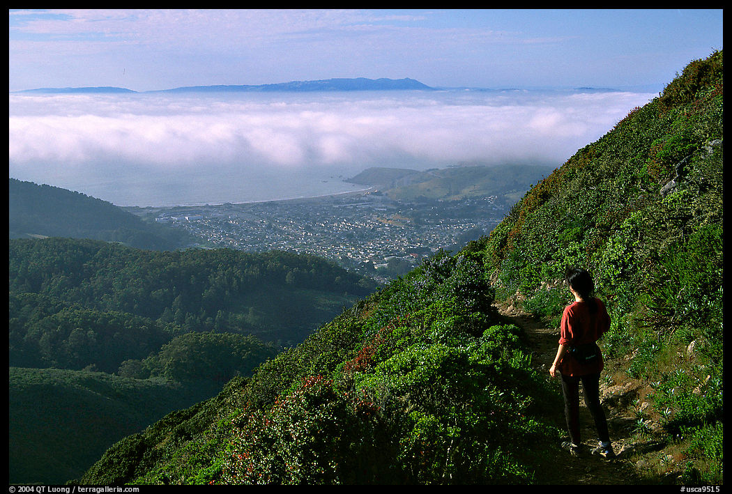 Hiker on Montara Mountain. San Mateo County, California, USA
