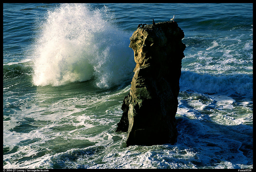 Wave and seastack morning. Santa Cruz, California, USA