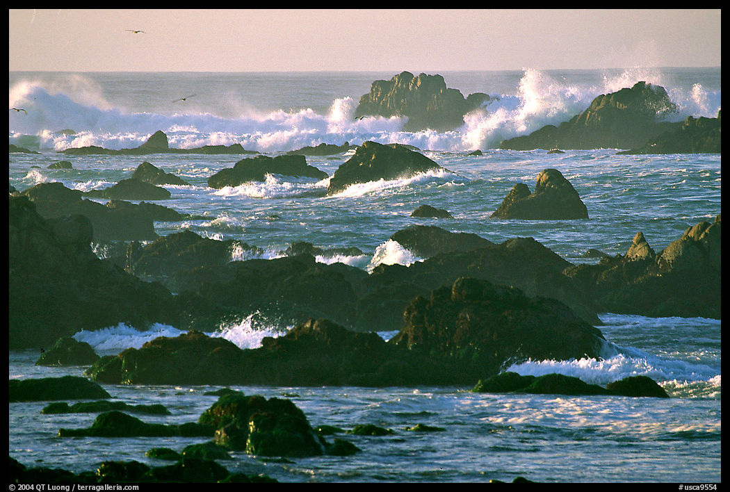 Surf and rocks, Ocean drive, Carmel. Carmel, California, USA