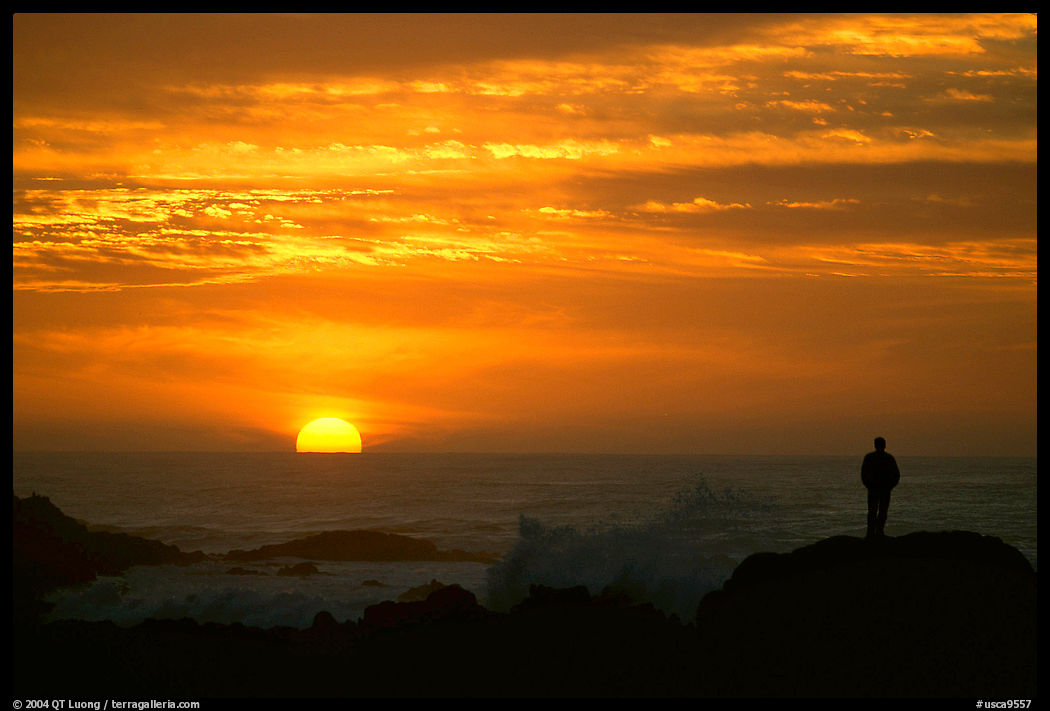 Man watching sunset over ocean, Pacific Grove. California, USA