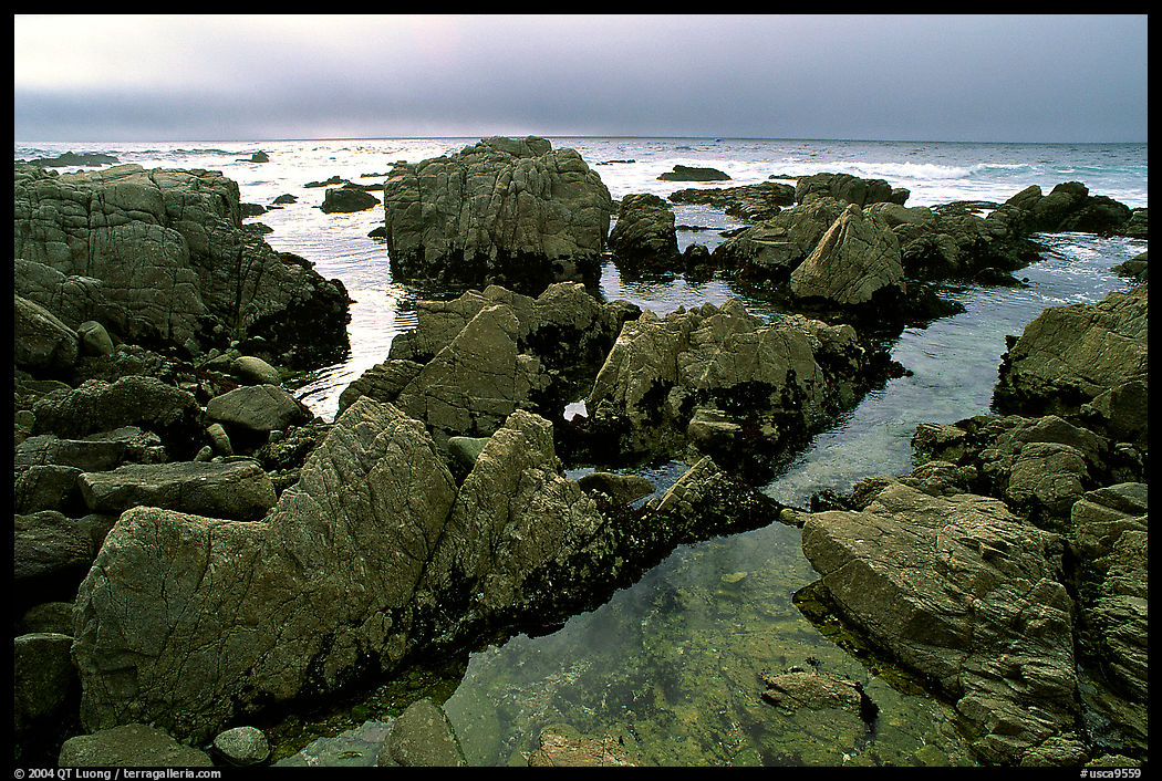Pool, rocks, foggy sunset, seventeen-mile drive,  Pacific Grove. California, USA