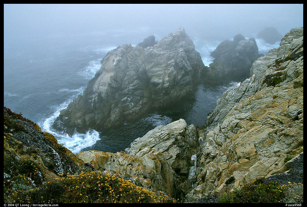 Pinnacle Cove in the fog. Point Lobos State Preserve, California, USA