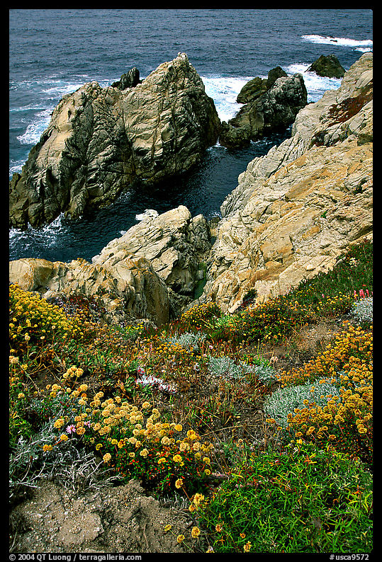 Pinnacle Cove. Point Lobos State Preserve, California, USA