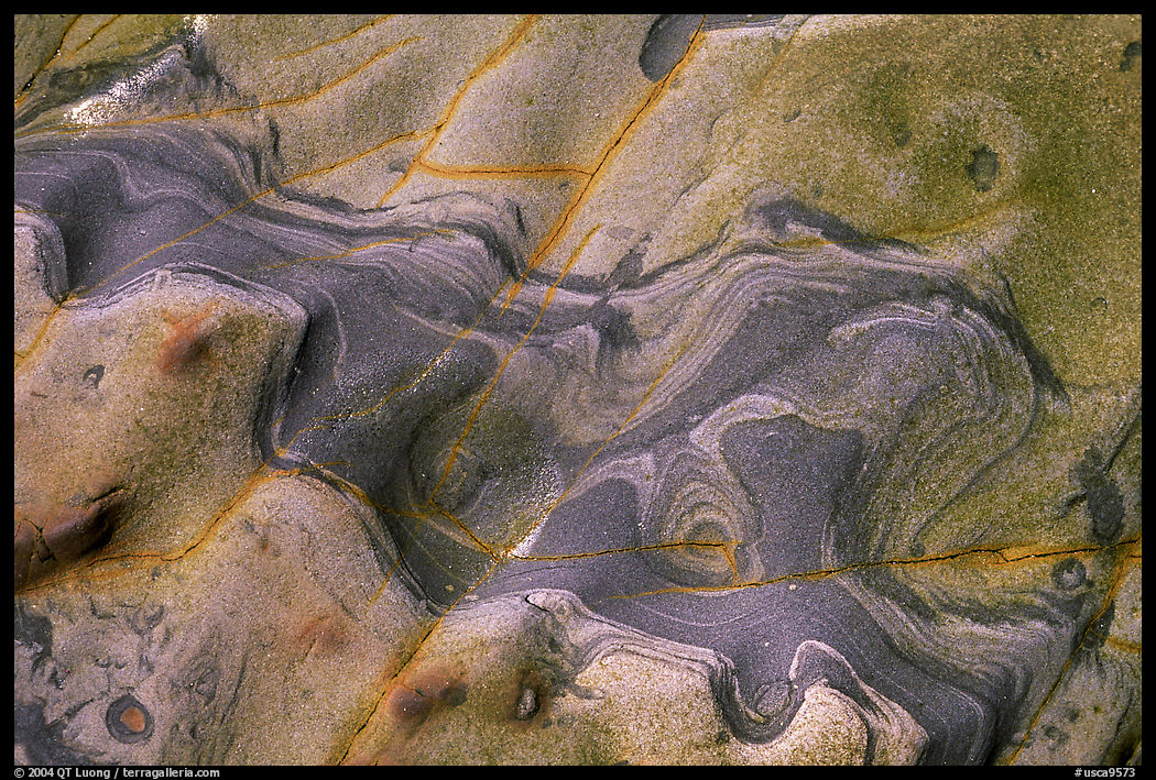Rock incrustations,  Weston Beach. Point Lobos State Preserve, California, USA