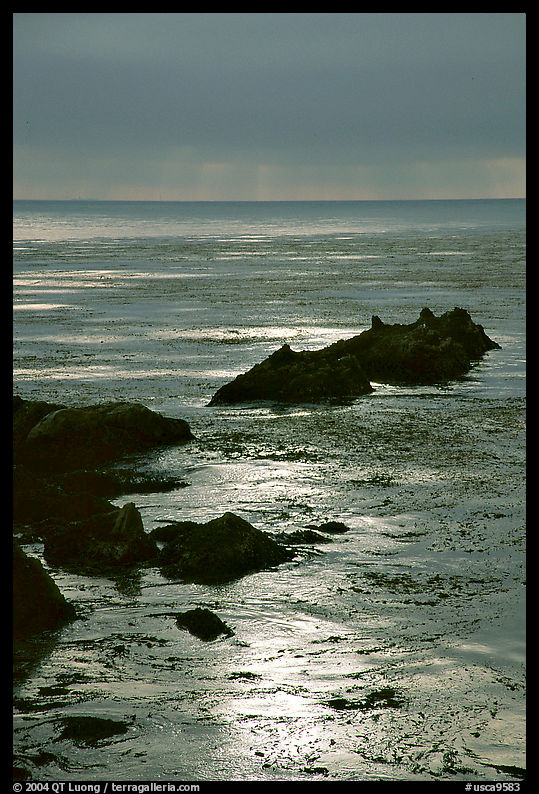 Rocks and sun reflections. Big Sur, California, USA